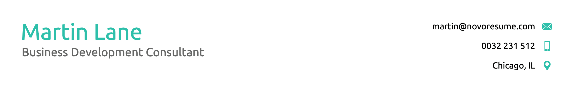 Resume contact section, example 2