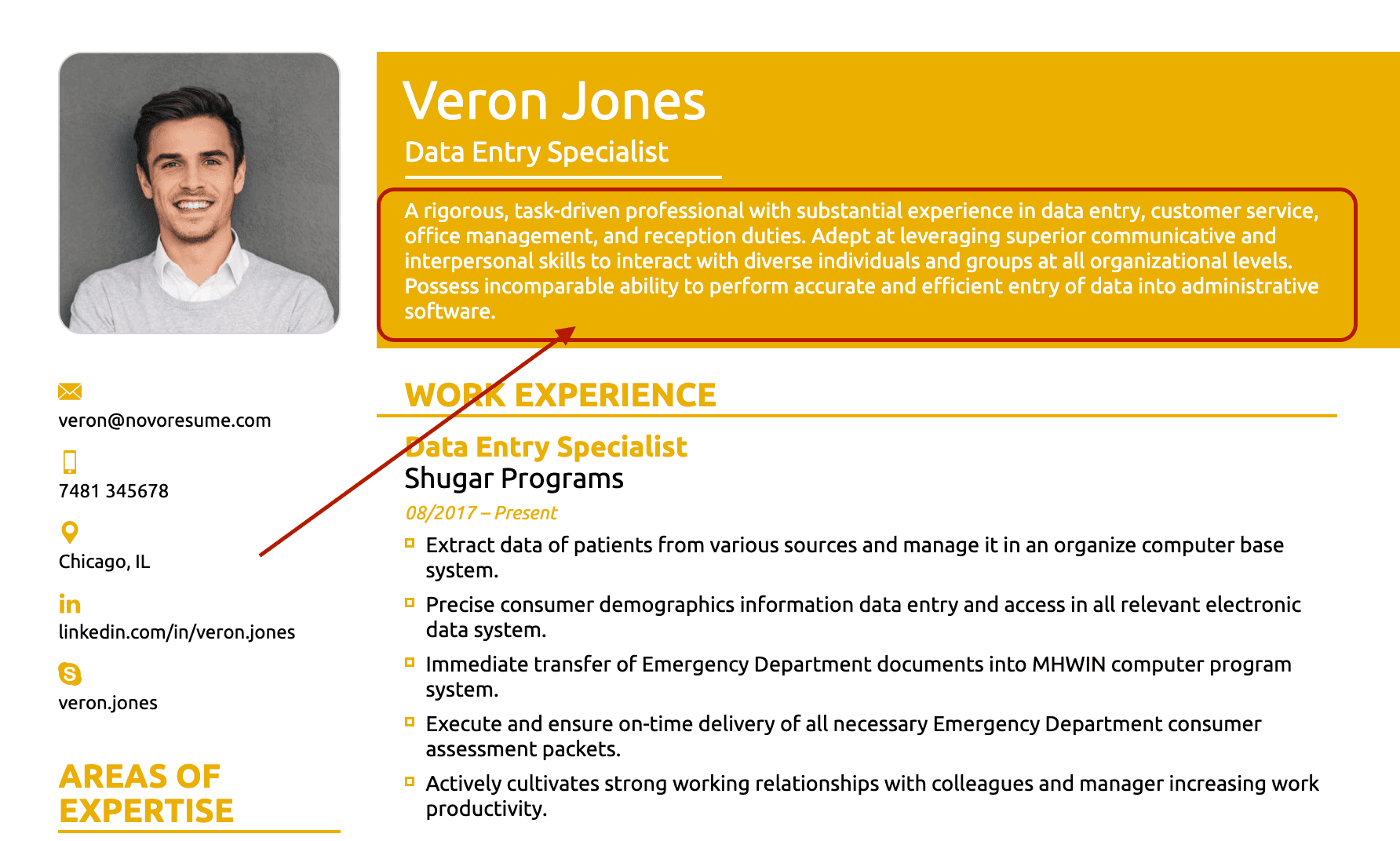 The summary section on a resume